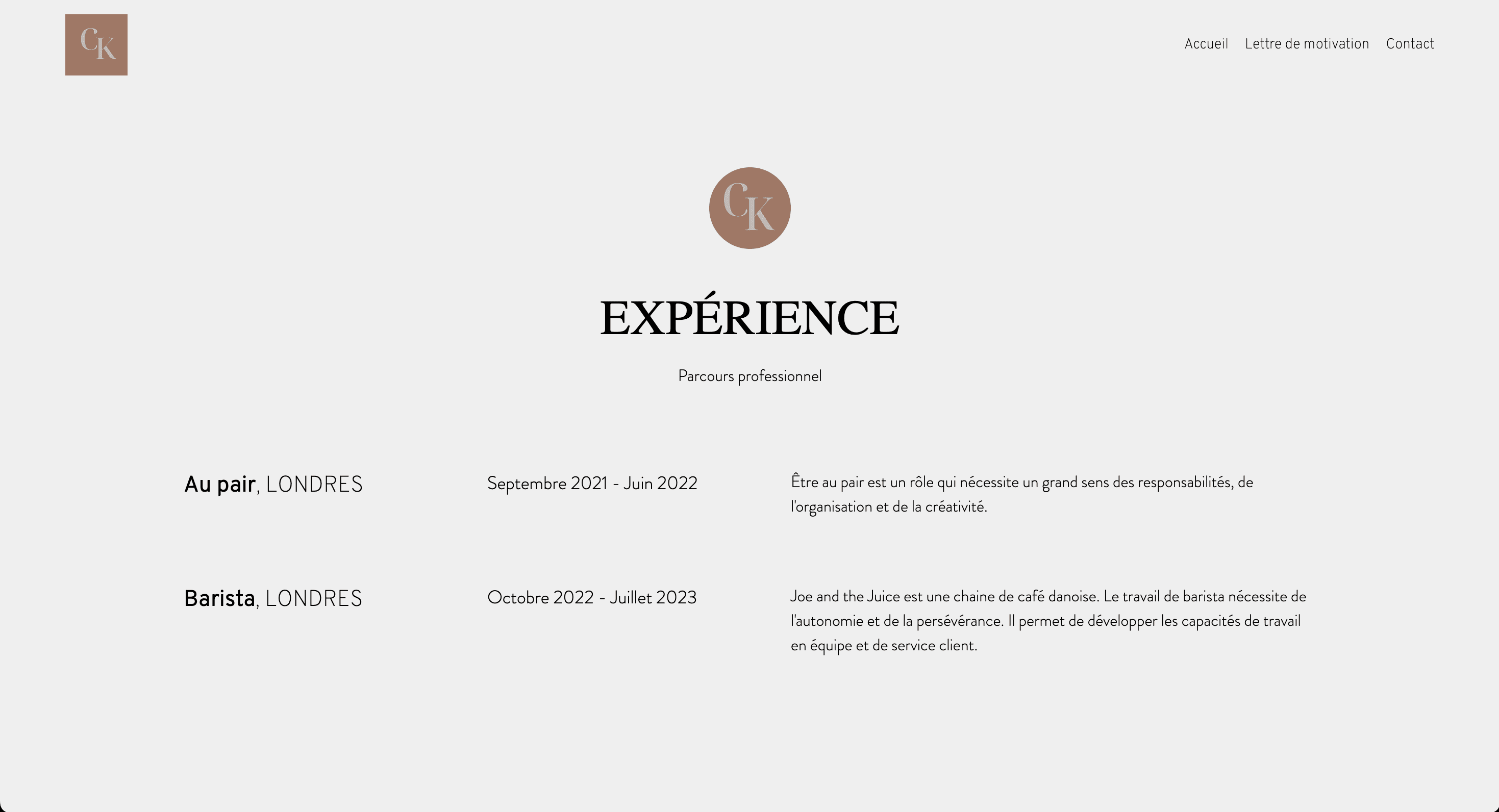 CV Website
